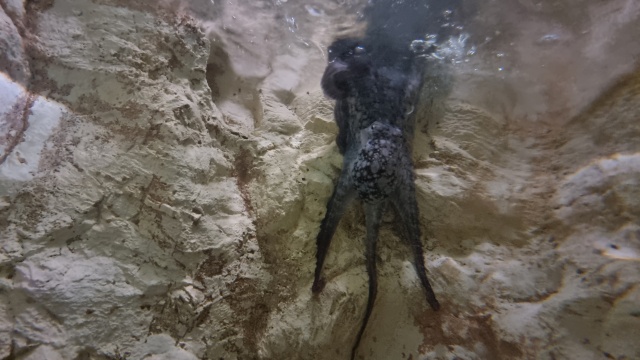 ../images/fotoalbum/lanzarote23/2023-09-18 11.38.38